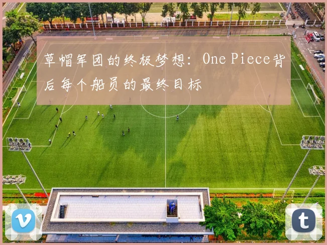 草帽军团的终极梦想：One Piece背后每个船员的最终目标