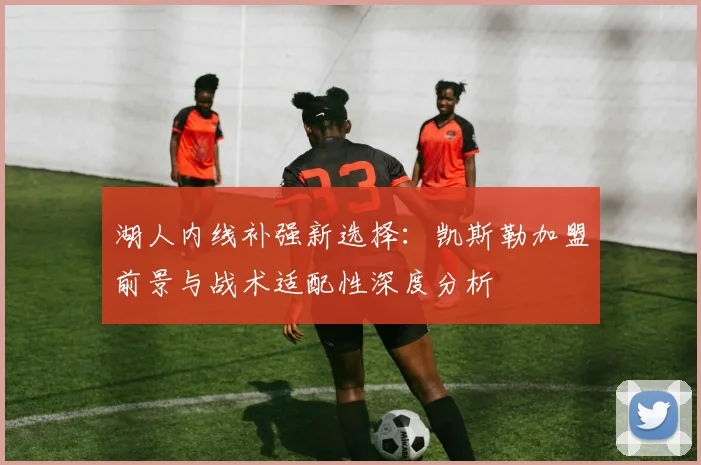 湖人内线补强新选择：凯斯勒加盟前景与战术适配性深度分析